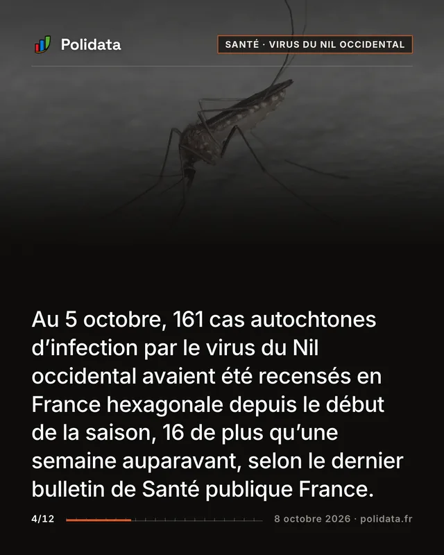 Au 5 octobre, 161 cas autochtones d’infection par le virus du Nil occidental avaient été recensés en France hexagonale depuis le début de la saison, 16 de plus qu’une semaine auparavant, selon le dernier bulletin de Santé publique France.